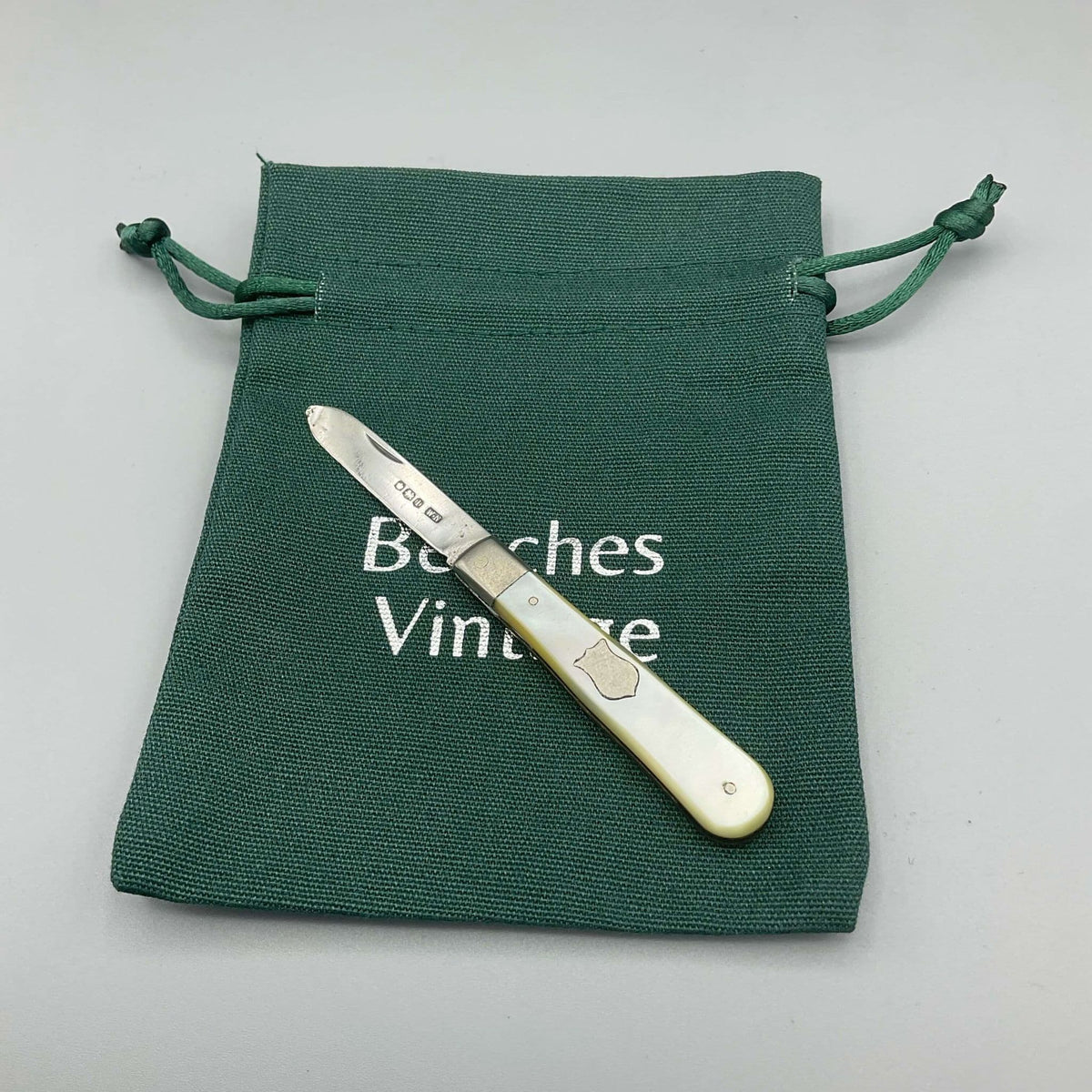 Silver fruit knife with mother of pearl handle on a green gift bag on a grey background 