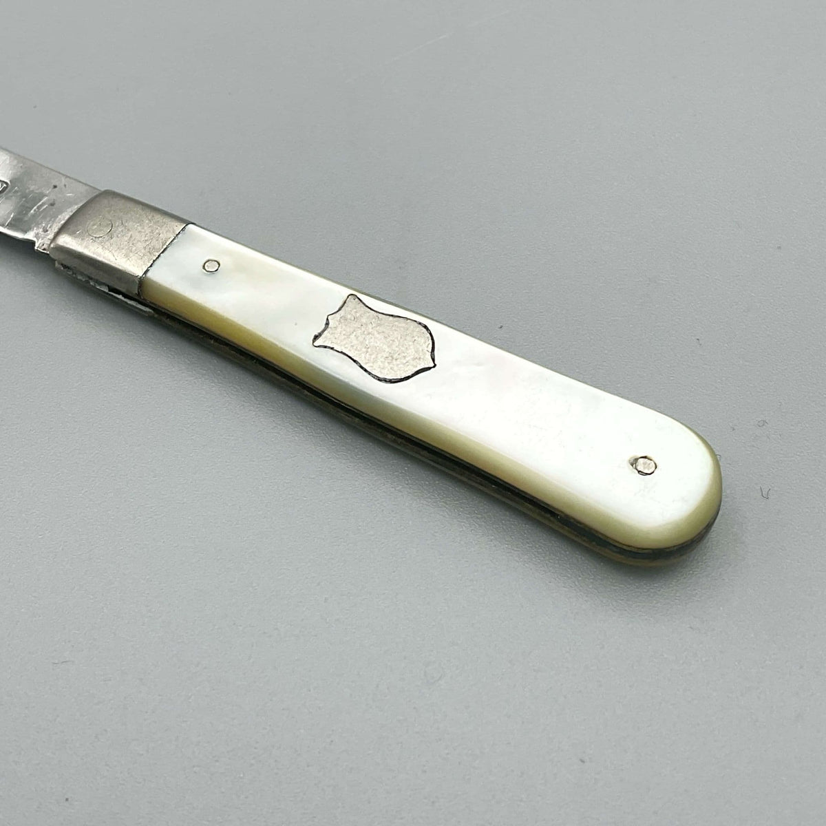 A mother of pearl handle with a blank shield cartouche on a grey background 