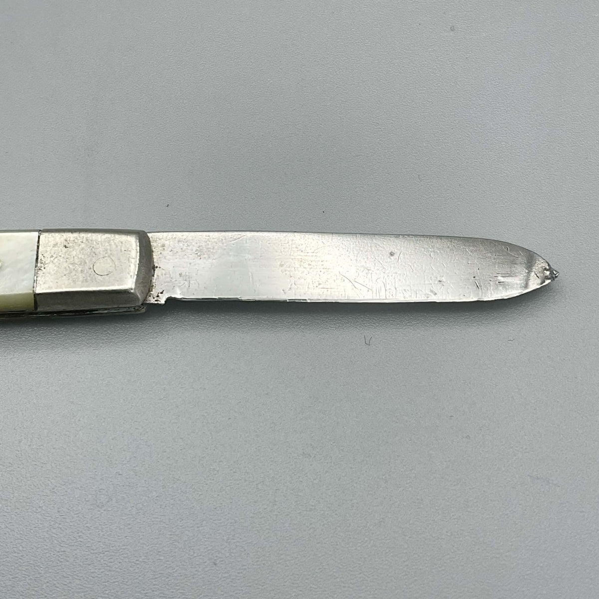 Silver fruit knife blade on a grey background 