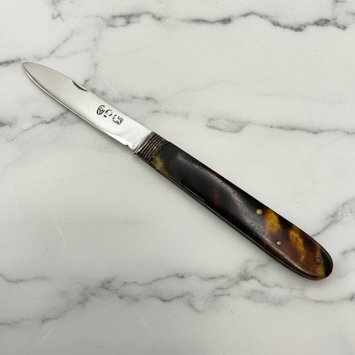 An antique fruit knife with a silver  blade and a faux tortoiseshell handle showing brown, black, and amber tones, photographed on a light gray background.