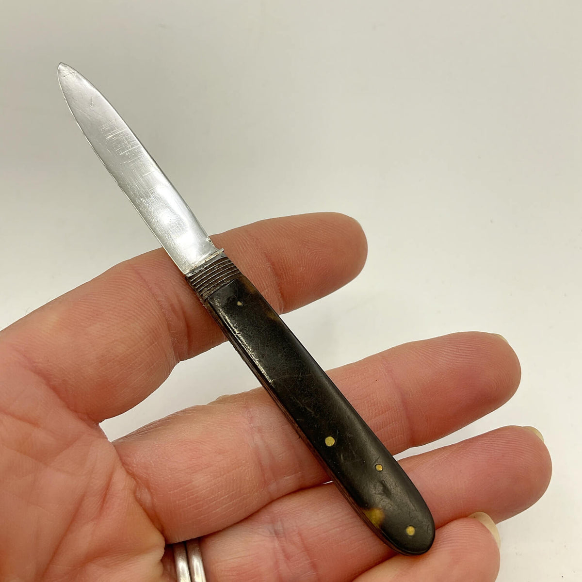 Antique 1819 Sterling Silver Fruit Knife with a silver blade and a dark brown  handle with brass pins, held in a person's hand against a plain light background.