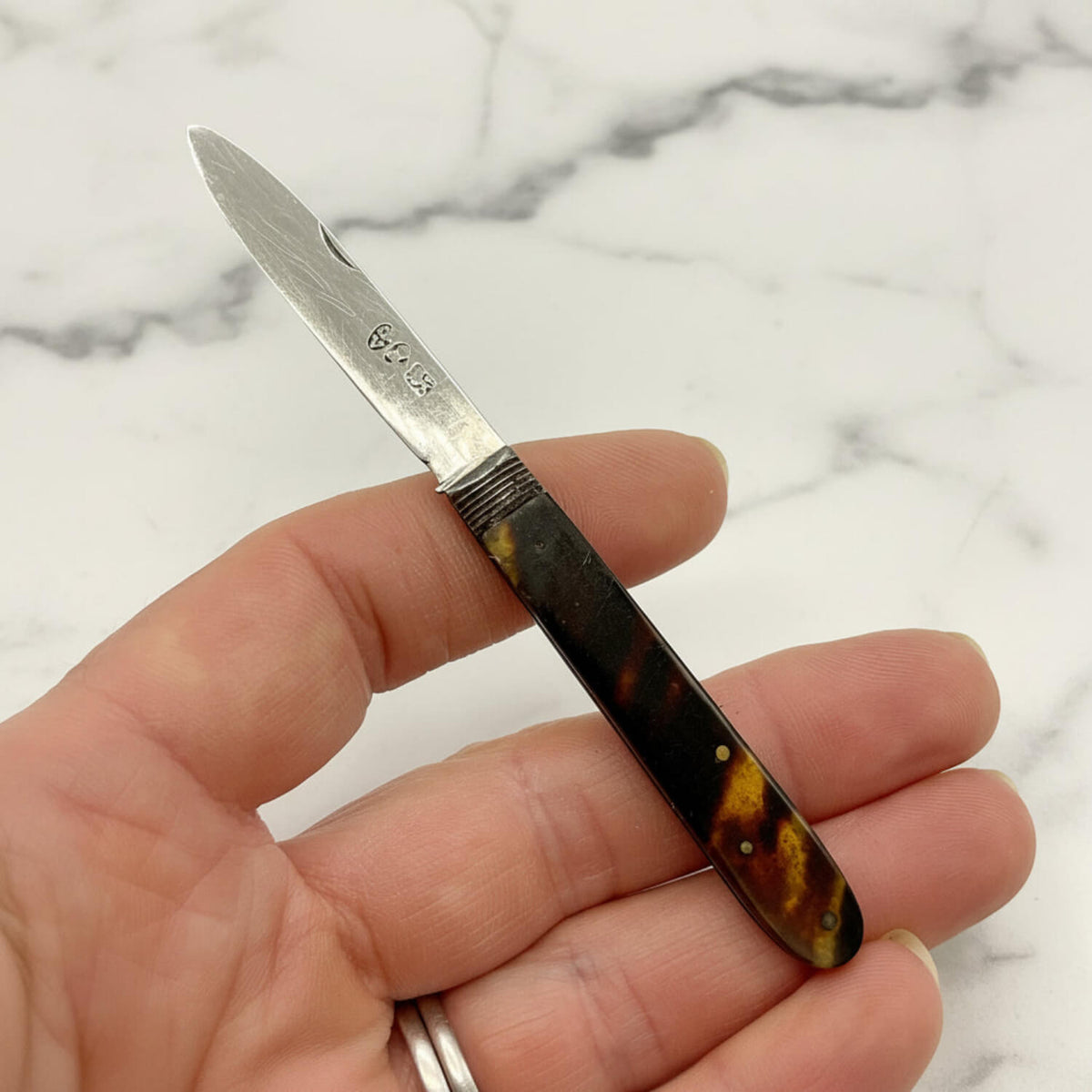 Antique 1819 Sterling Silver Fruit Knife with a dark brown and black faux tortoiseshell handle, held in a person's hand against a plain white background.
