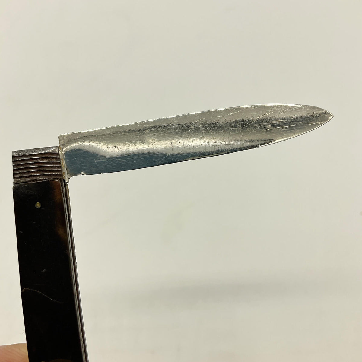A close-up Antique 1819 Sterling Silver Fruit Knife with a dark faux tortoiseshell handle, held against a plain off-white background.