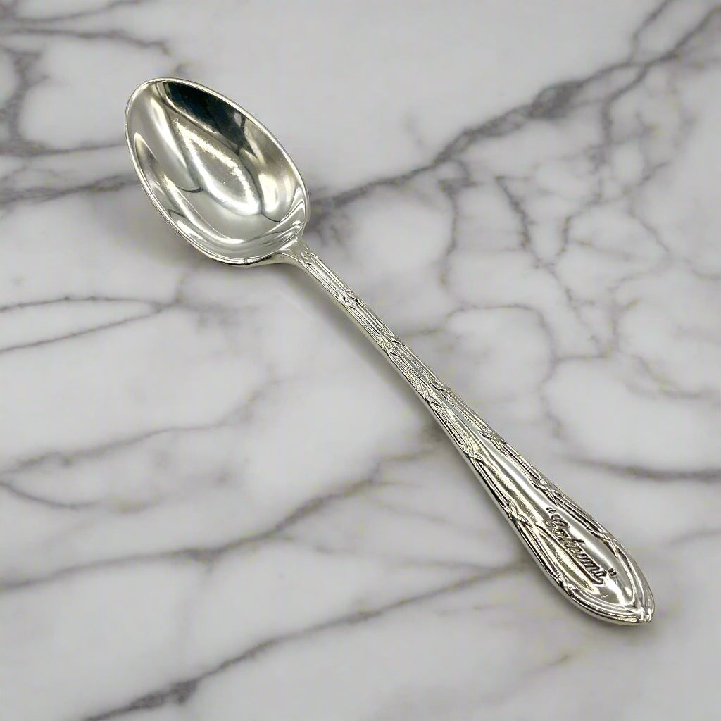 Silver spoon on a marble surface