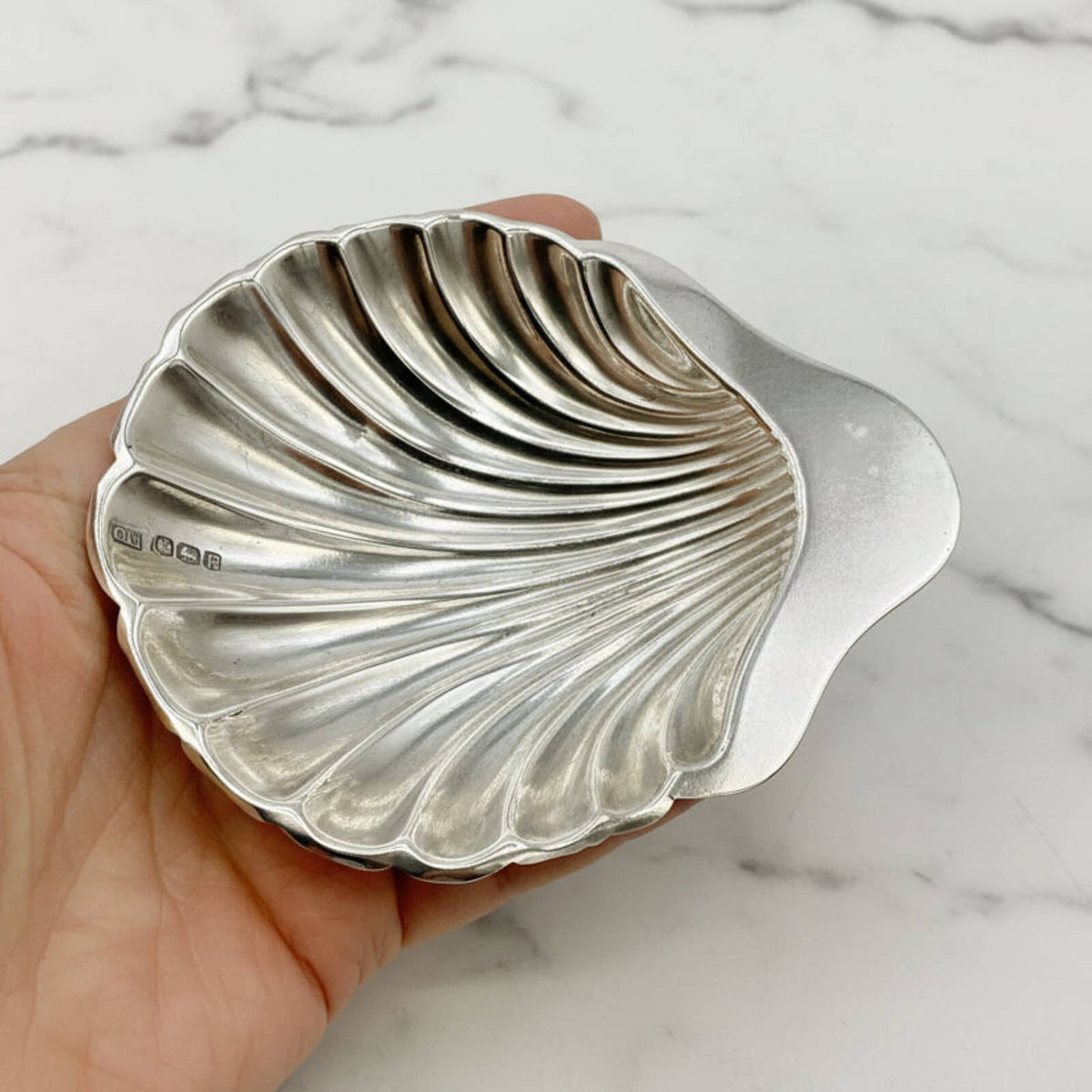 Silver shell-shaped dish held in a hand on a marble background