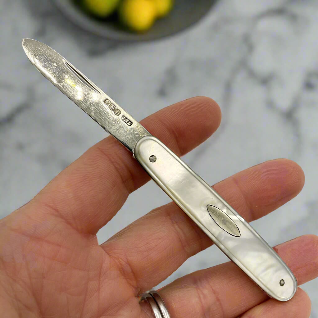 Silver pocket knife held in a hand with a blurred background
