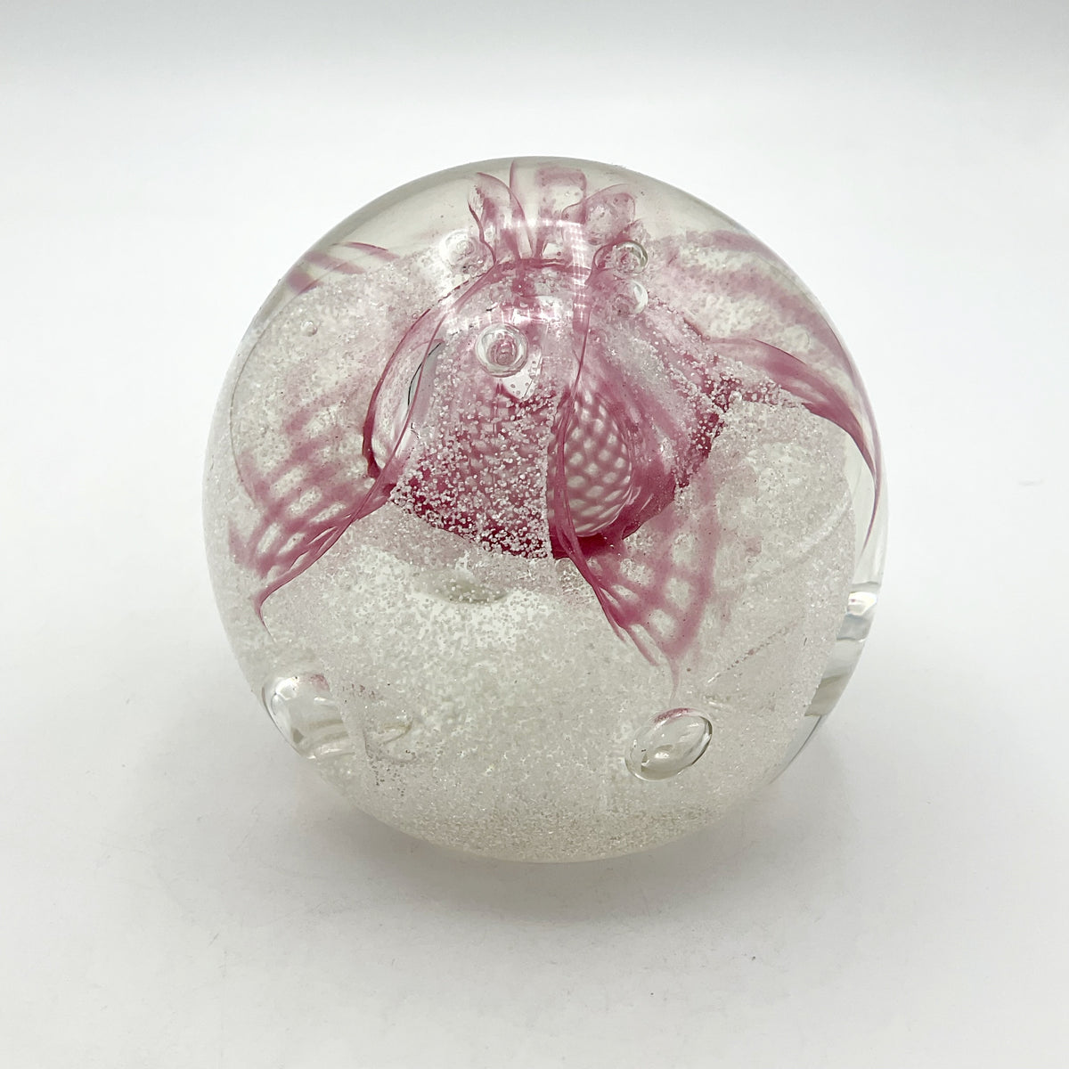 Caithness Glass Congratulations Paperweight - Beeches Vintage