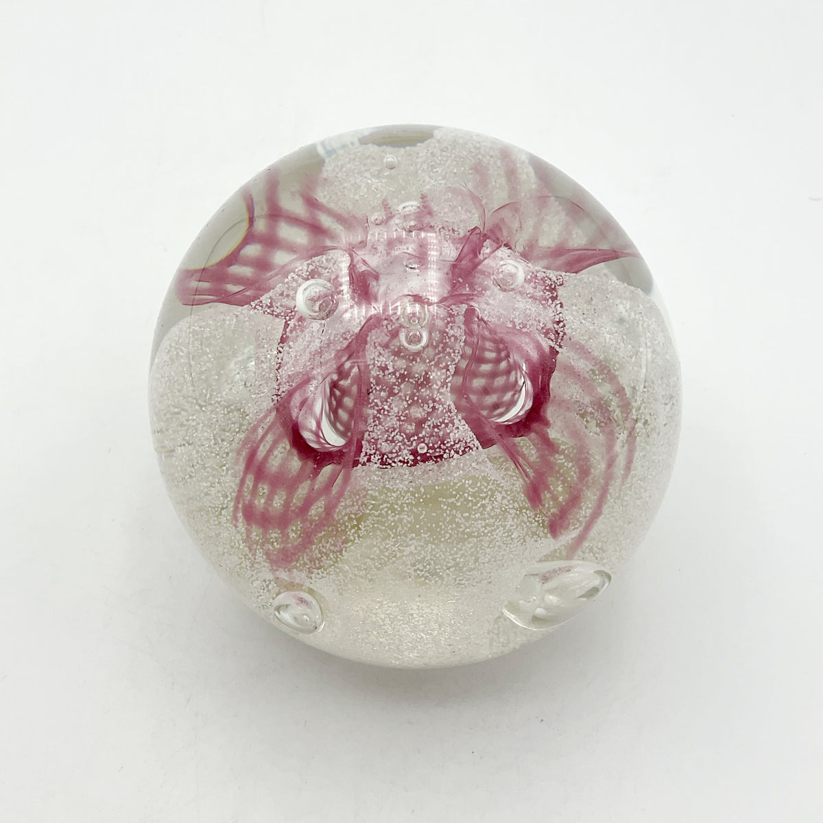 Caithness Glass Congratulations Paperweight - Beeches Vintage