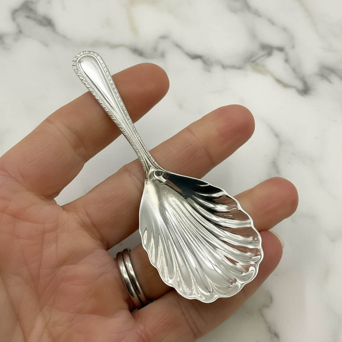 Silver shell-shaped spoon held in a hand against a marble background
