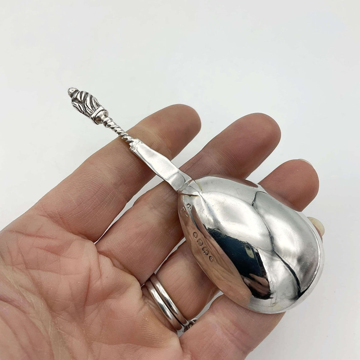 back of silver tea caddy spoon held in a hand with a white background