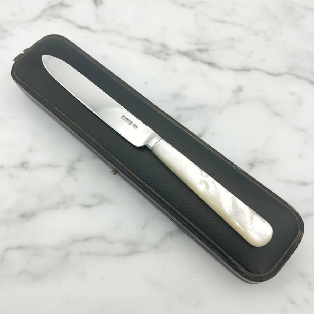 Silver Knife with a white handle in a black case on a marble background