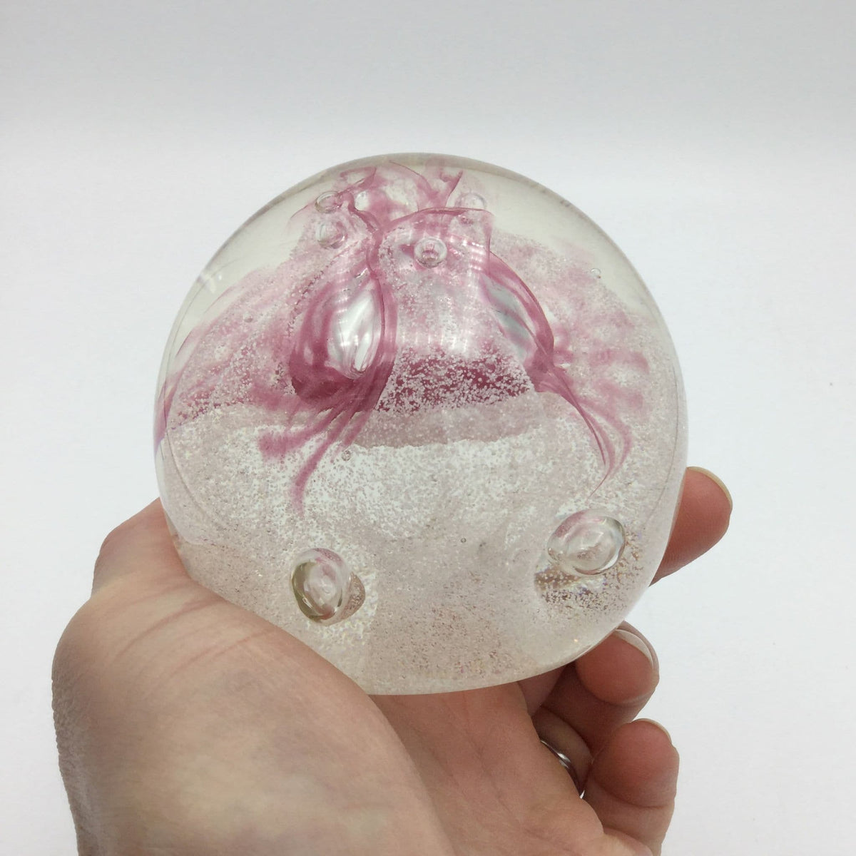Caithness Glass Congratulations Paperweight - Beeches Vintage